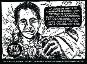 Кофе из Гондураса - прекрасная арабика