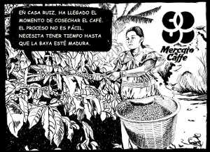 В Панаме уже выбрали лучшую арабику для Украины