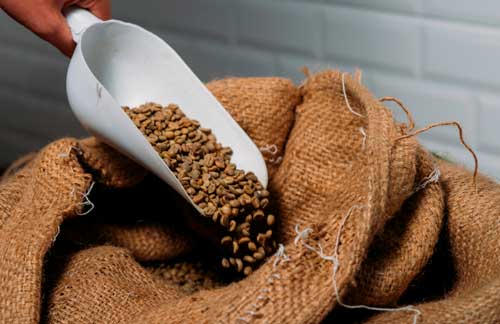 Кава Свіжою Обжарювання Купити